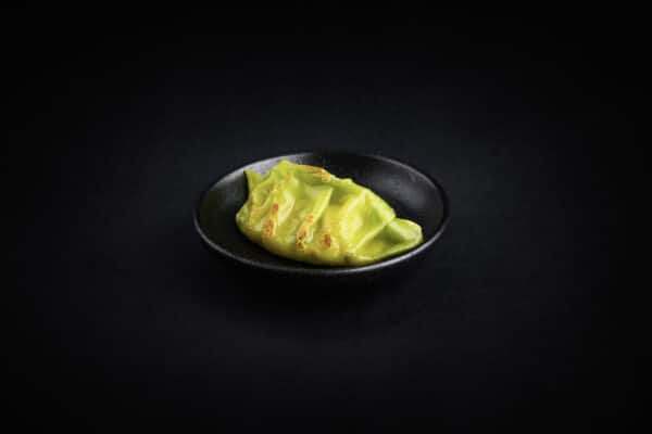 Gyoza Vegane Teigtaschen